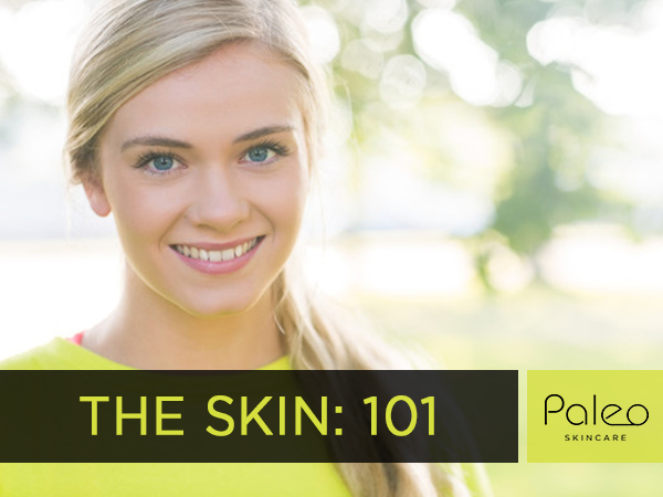 The Skin:101