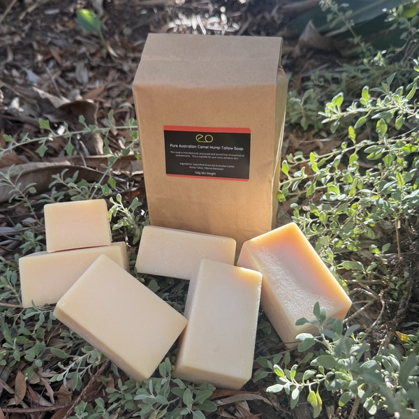 Bulk Block Soap Selection - Eucalyptus